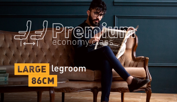 Premium economy class